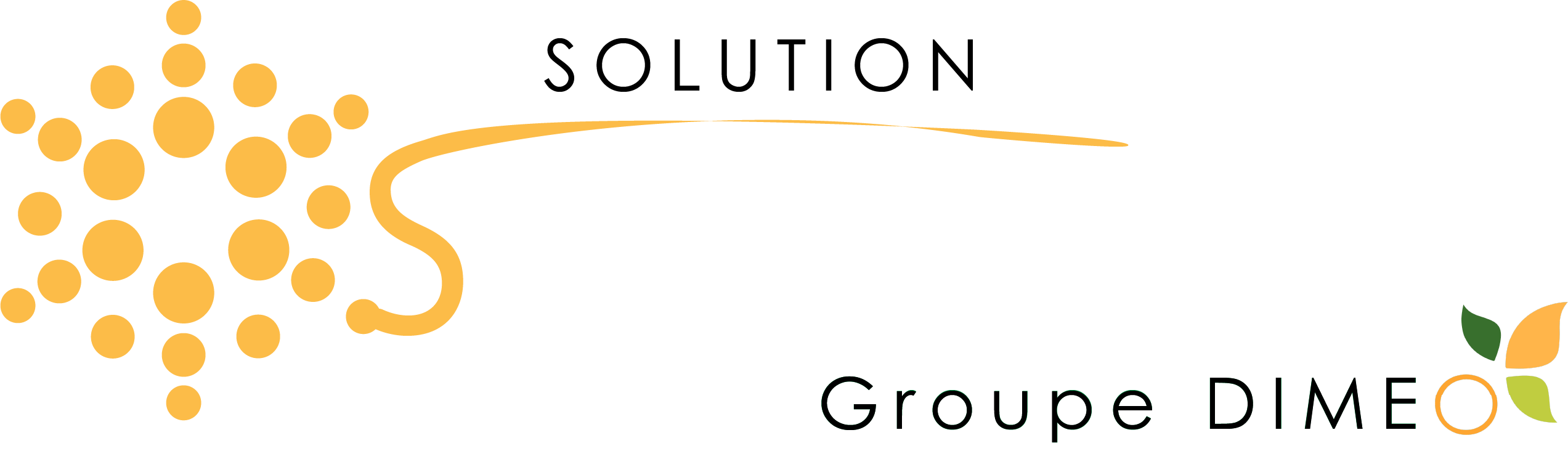 Solution Solaire Pro